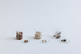 VISION GLASS GLASS LID 蓋