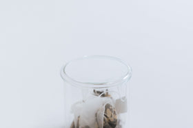 VISION GLASS GLASS LID 蓋