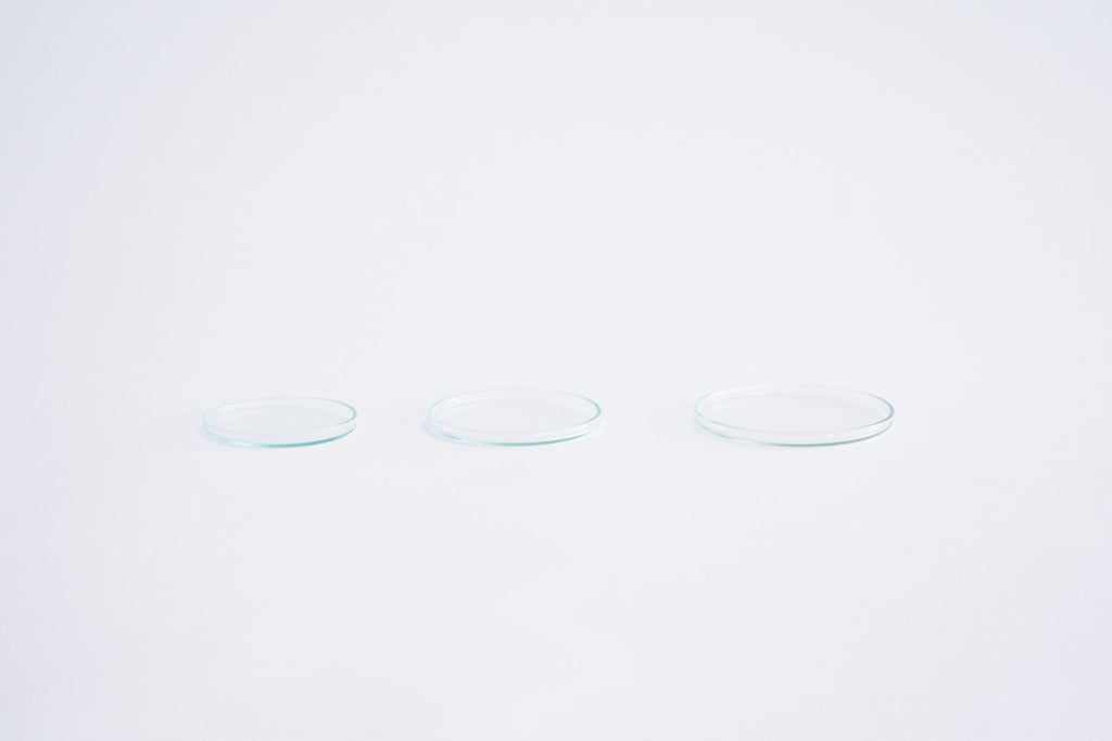 VISION GLASS GLASS LID 蓋