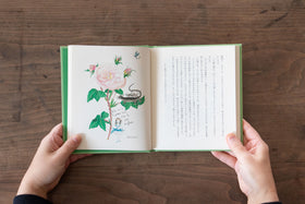 みどりのゆび 愛蔵版