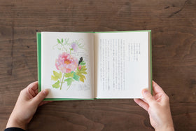 みどりのゆび 愛蔵版