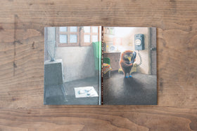 ちいさなトガリネズミ