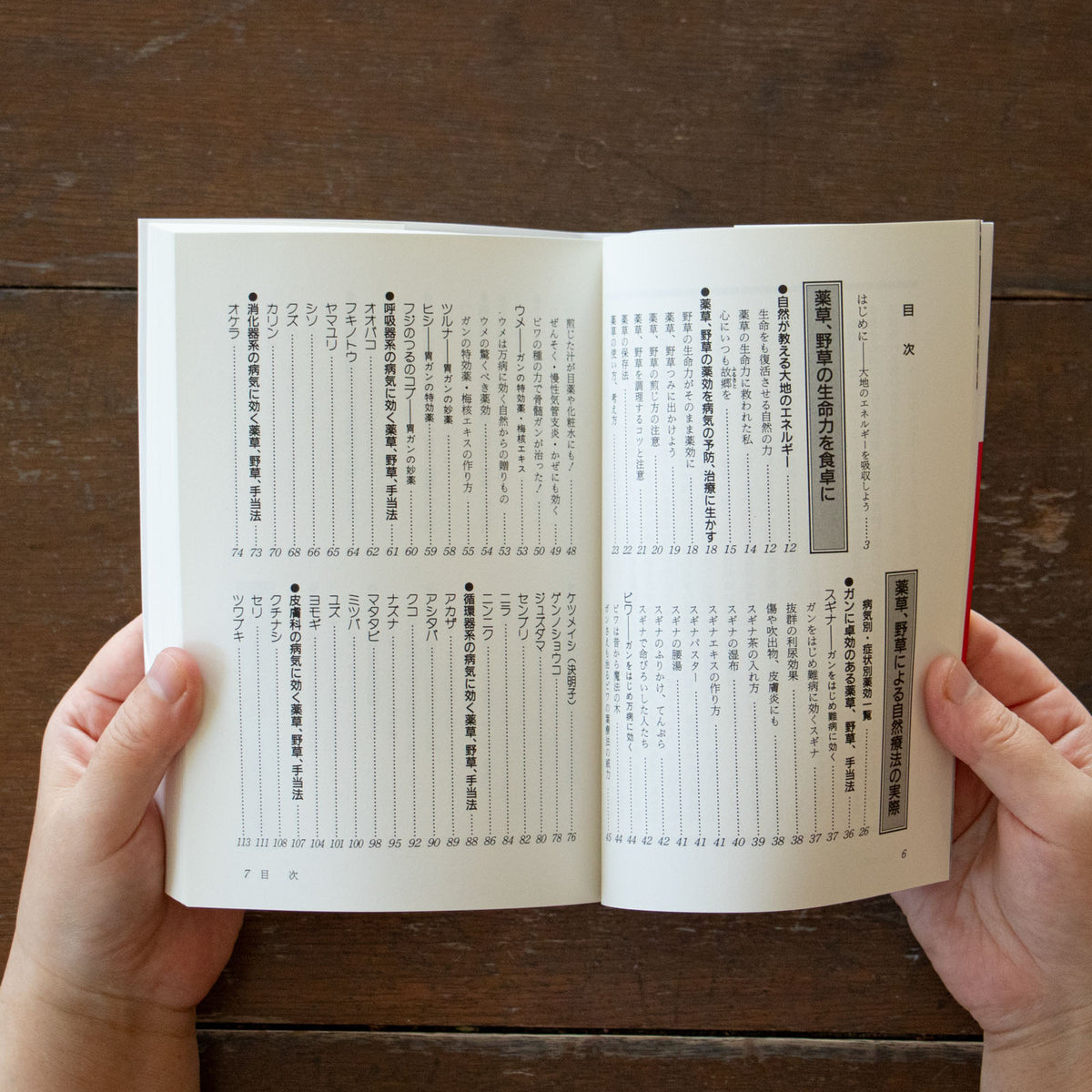 激安通販 薬草の自然療法／東城百合子｜くらすこと オンラインストア 健康・医学