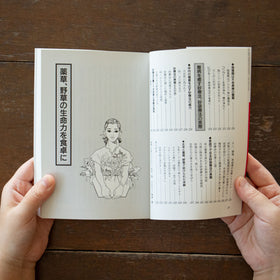 薬草の自然療法/東城百合子