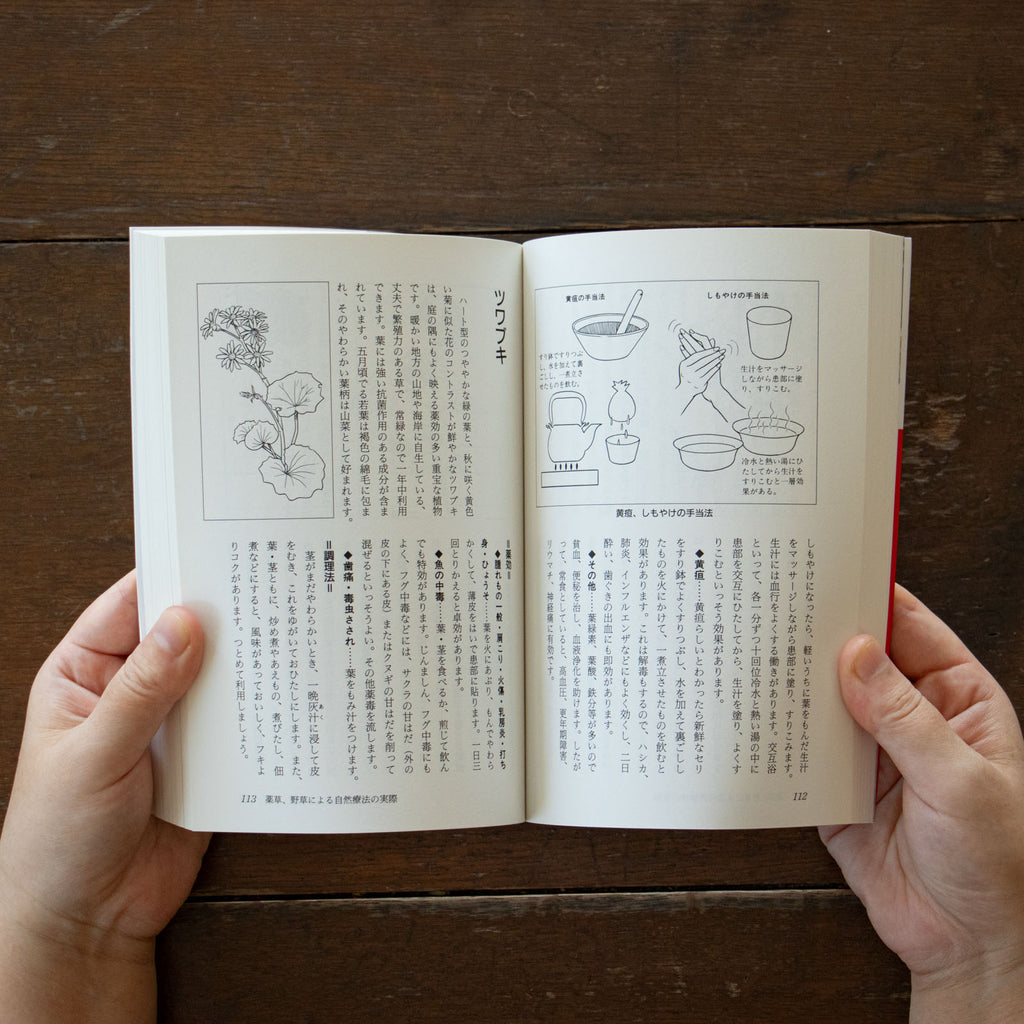 薬草の自然療法/東城百合子