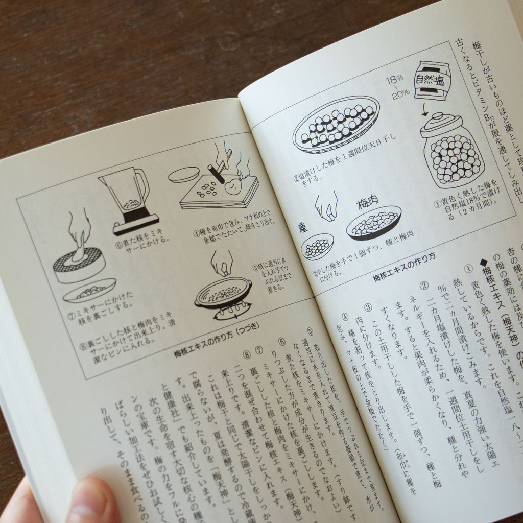 薬草の自然療法/東城百合子