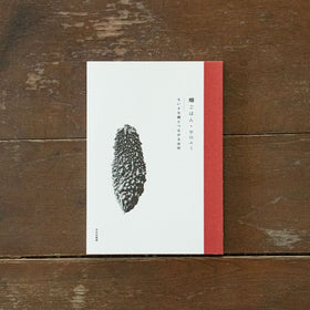 畑ごはん ちいさな種とつながる台所/早川ユミ