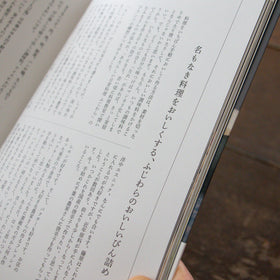 あたらしい日常、料理/藤原奈緒