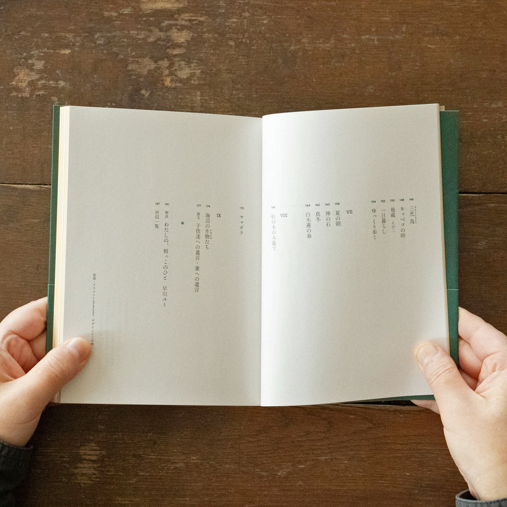 火を焚きなさい/山尾三省