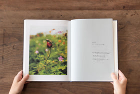 みどりの王国 The Kingdom of Green/戎康友、鈴木るみこ