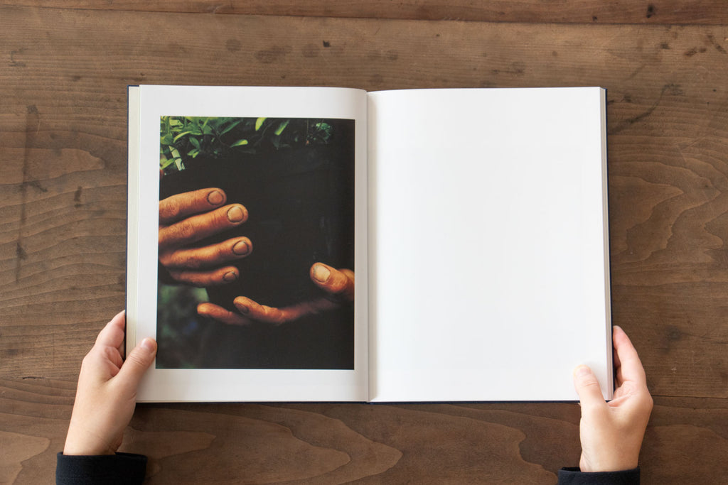 みどりの王国 The Kingdom of Green/戎康友、鈴木るみこ