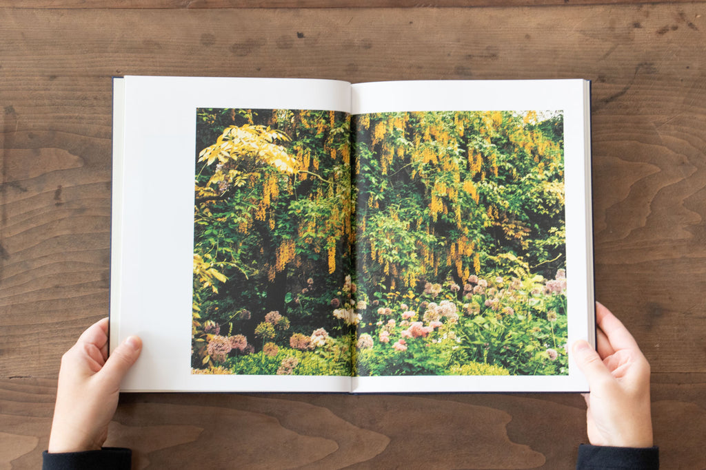 みどりの王国 The Kingdom of Green/戎康友、鈴木るみこ