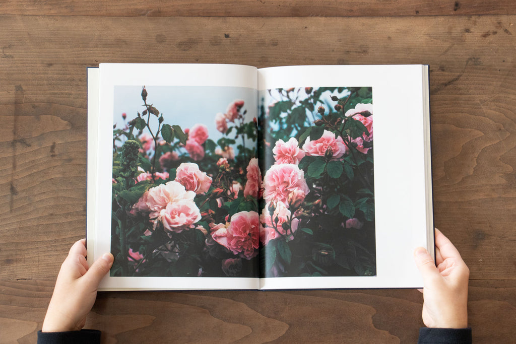 みどりの王国 The Kingdom of Green/戎康友、鈴木るみこ