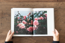 みどりの王国 The Kingdom of Green/戎康友、鈴木るみこ