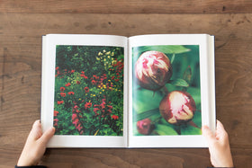 みどりの王国 The Kingdom of Green/戎康友、鈴木るみこ