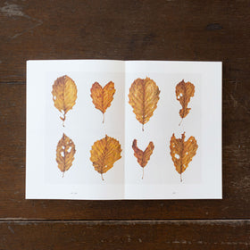 平山英三・平山和子 自然・造形・絵本の世界を歩いた二人の画家