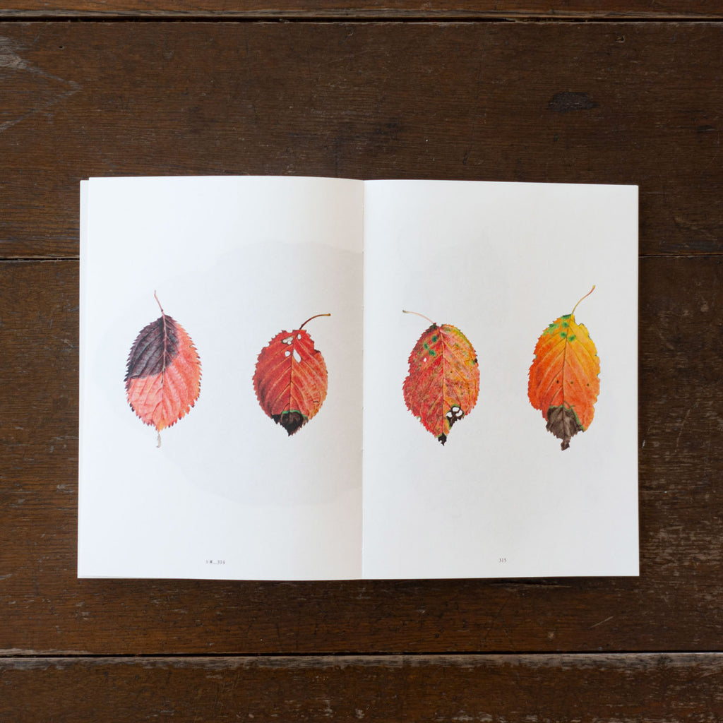 平山英三・平山和子 自然・造形・絵本の世界を歩いた二人の画家