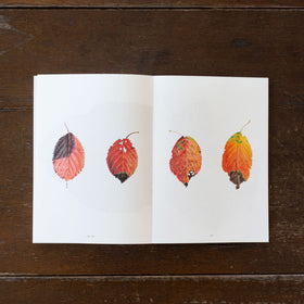 平山英三・平山和子 自然・造形・絵本の世界を歩いた二人の画家