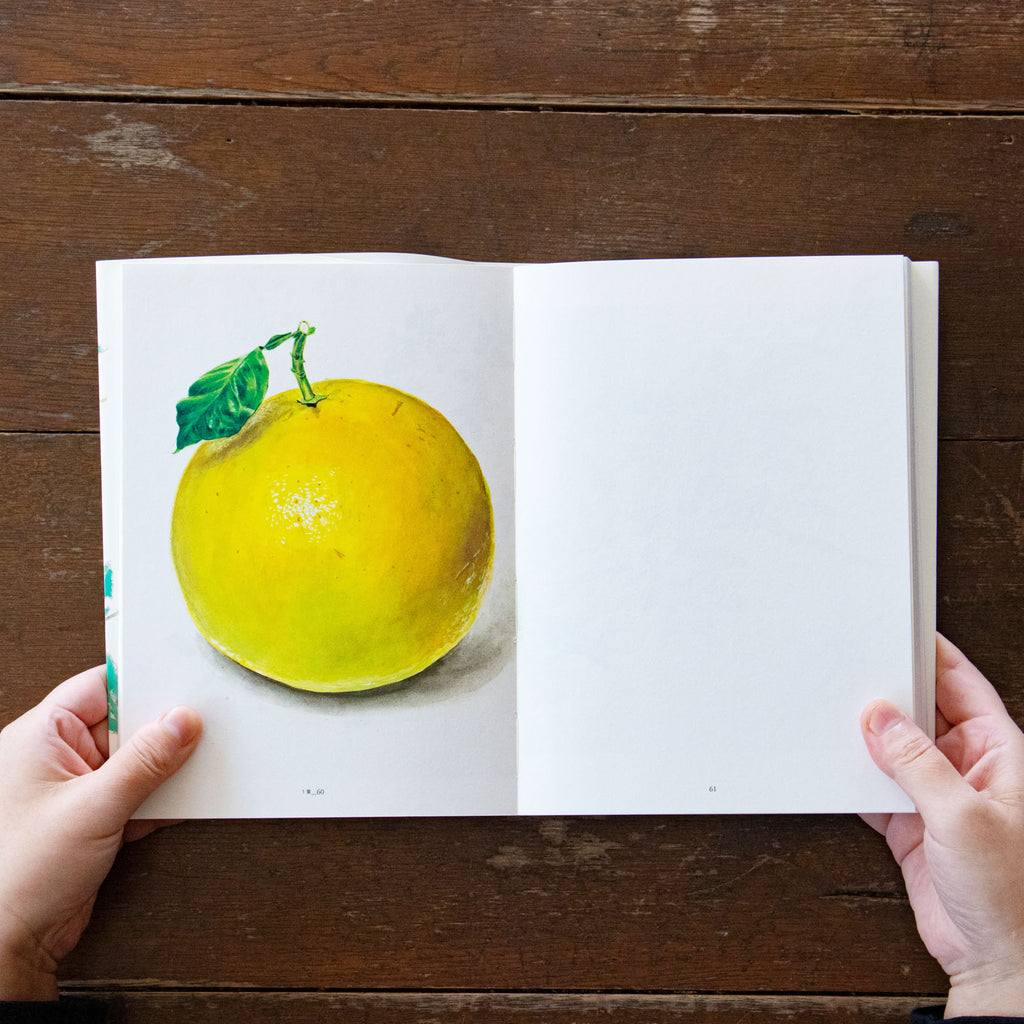 平山英三・平山和子 自然・造形・絵本の世界を歩いた二人の画家