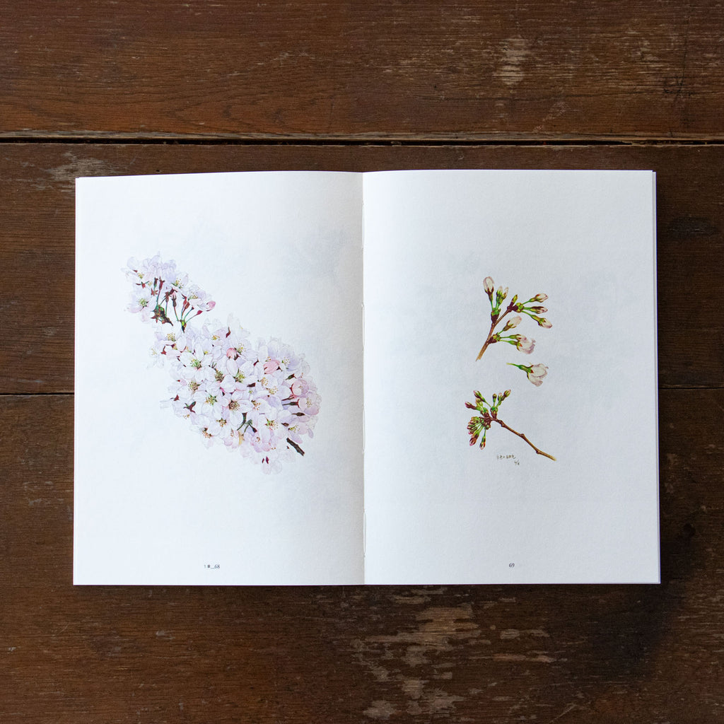 平山英三・平山和子 自然・造形・絵本の世界を歩いた二人の画家