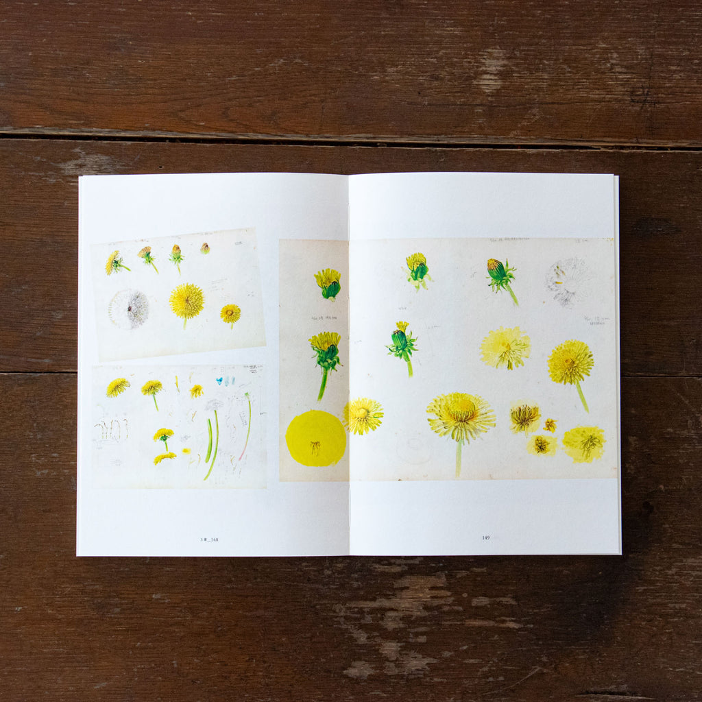 平山英三・平山和子 自然・造形・絵本の世界を歩いた二人の画家