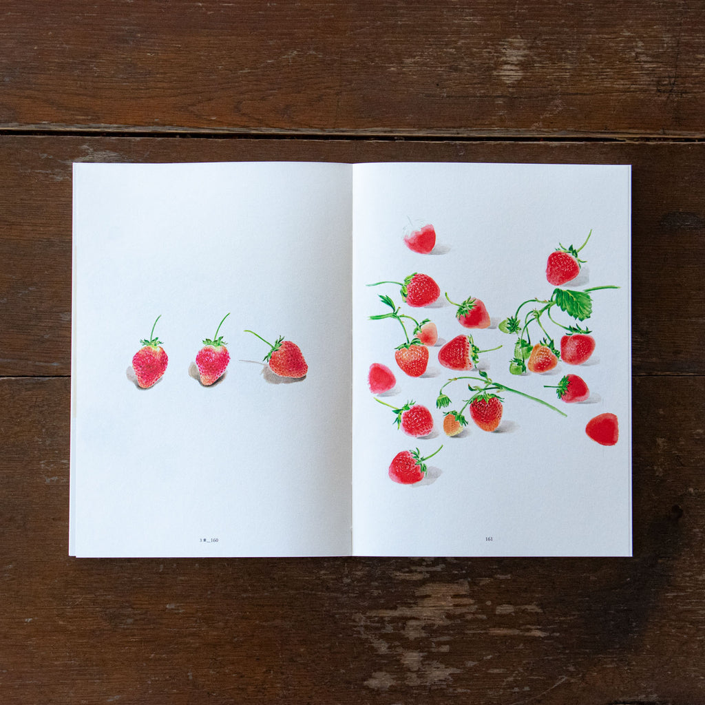 平山英三・平山和子 自然・造形・絵本の世界を歩いた二人の画家