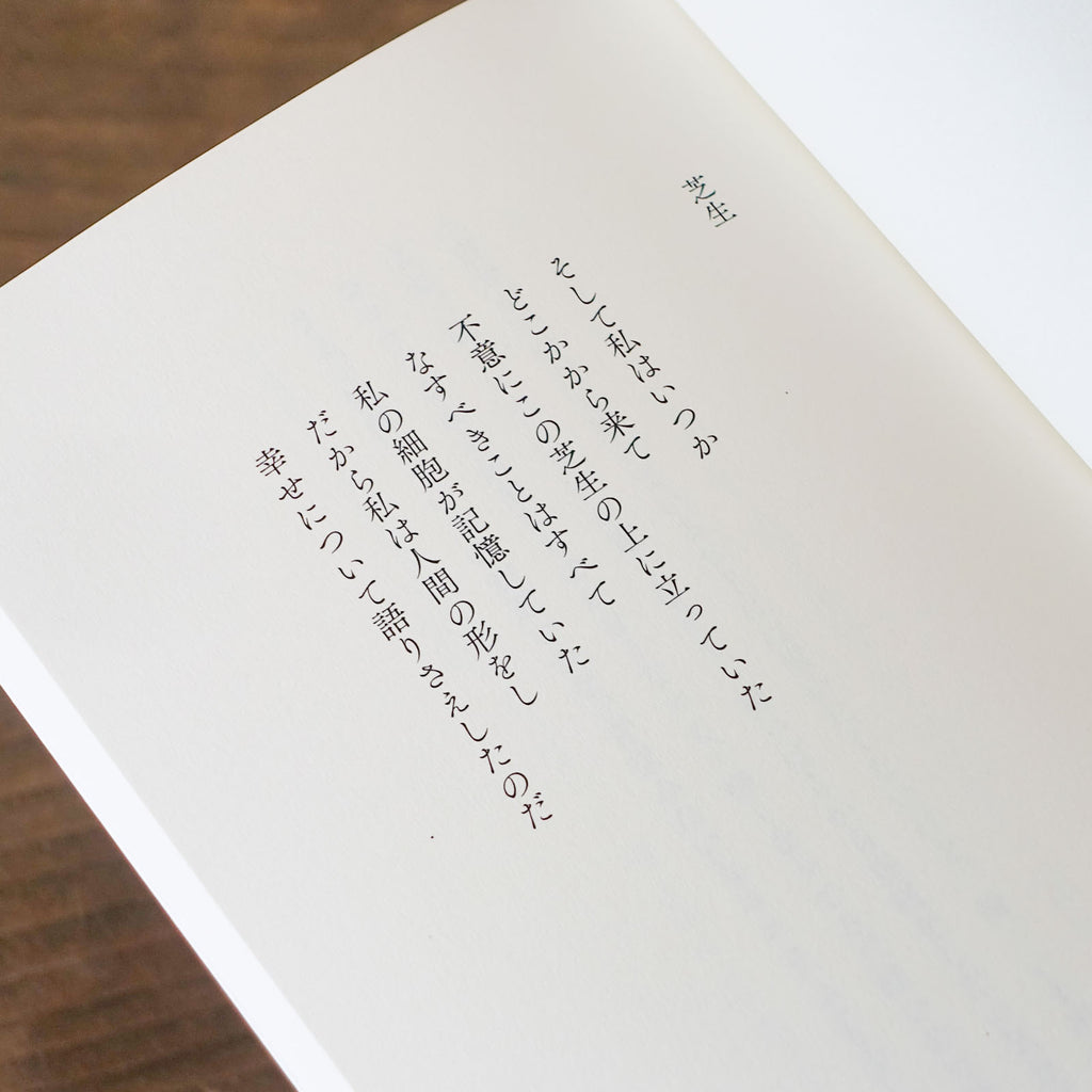 幸せについて/谷川俊太郎