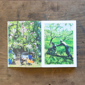 ある、りんご園の一年/木村江利