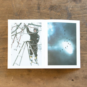 ある、りんご園の一年/木村江利