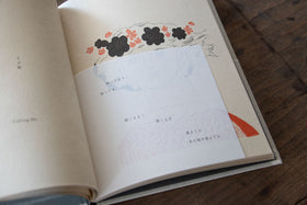 AGEHA 杉本さなえ作品集