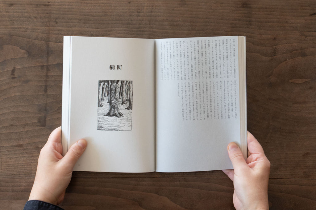 居心地のわるい泡/平田基