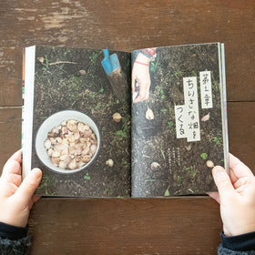 ちいさなくらしのたねレシピ 改訂新版/早川ユミ