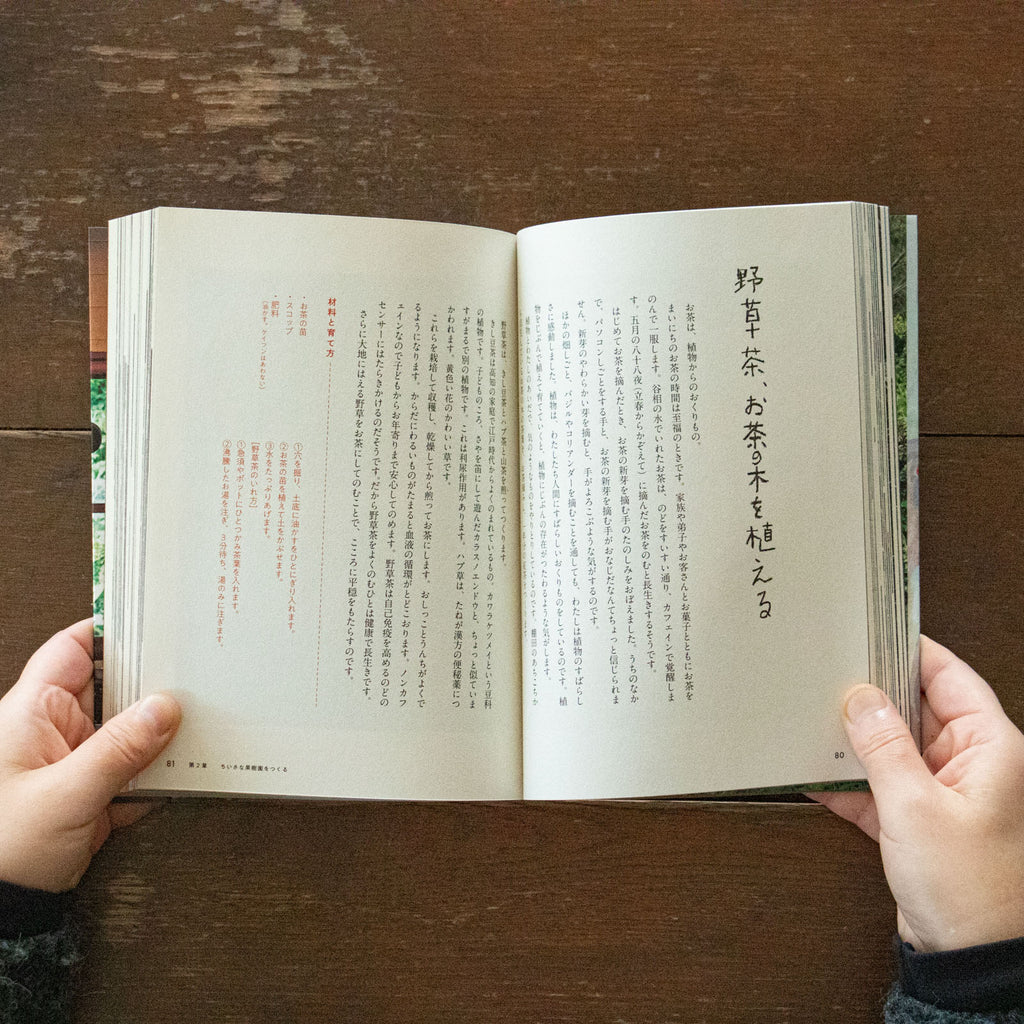 ちいさなくらしのたねレシピ 改訂新版/早川ユミ