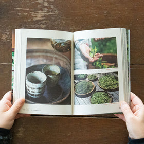 ちいさなくらしのたねレシピ 改訂新版/早川ユミ