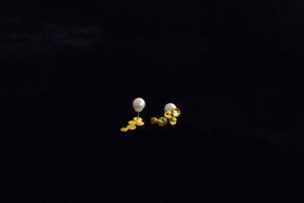 accessories mau ぶどう ピアス