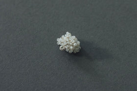 〈くらすこと別注〉FUA accessory 始まりの時 ピアス