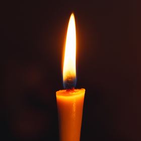 F/style はぜ蝋燭と和蝋燭の燭台