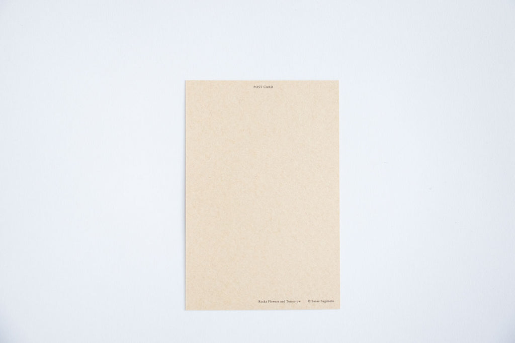 Sanae Sugimoto ポストカードセット(A)