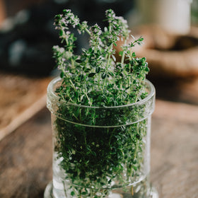 心に風 フルーツ・コーディアル・シロップ レモン&タイム *