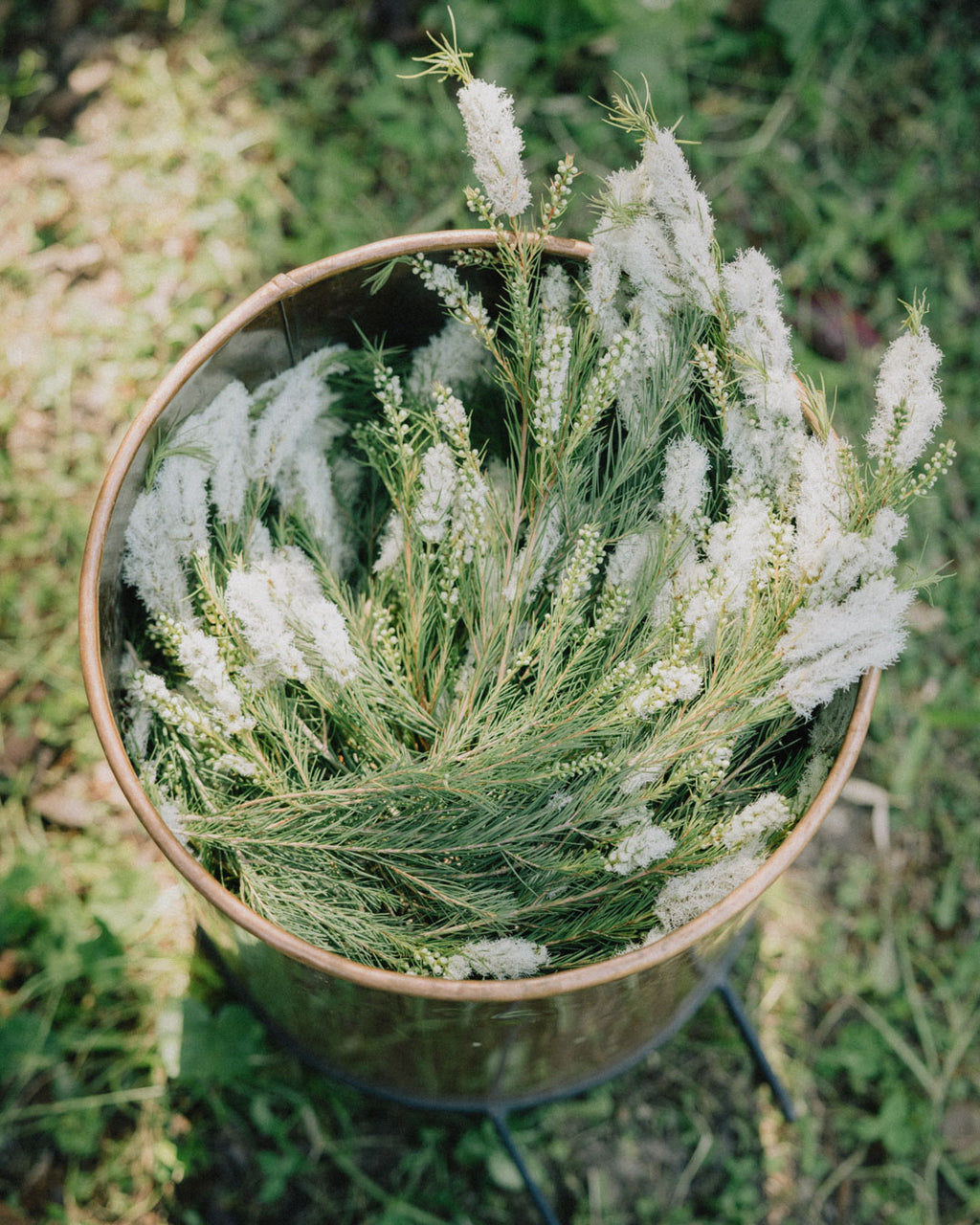 心に風 ロールオン・アロマ・ケア・オイル