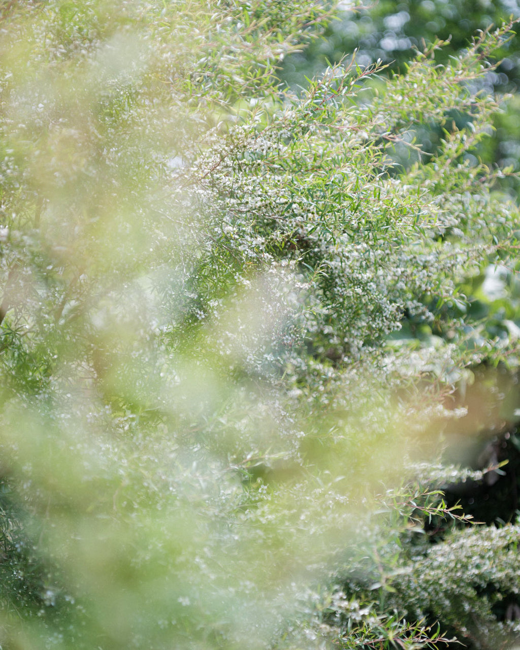 心に風 ロールオン・アロマ・ケア・オイル