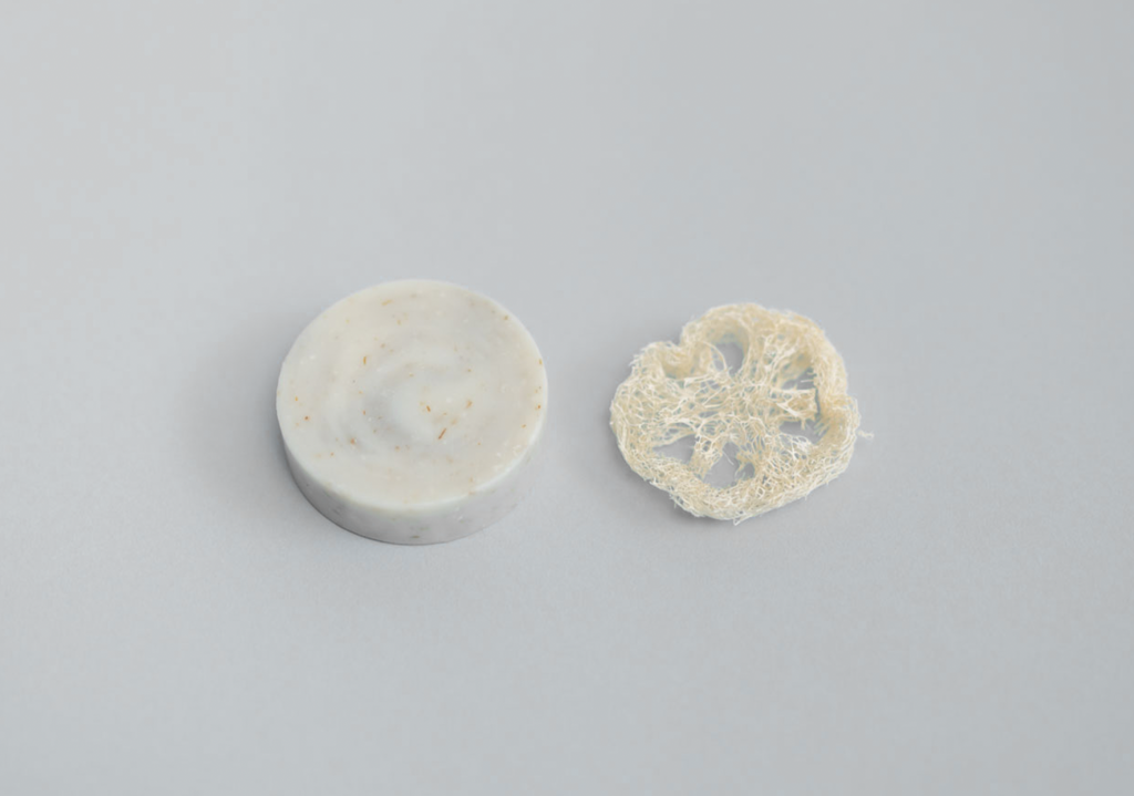 REAL PLANTS スギナソープ