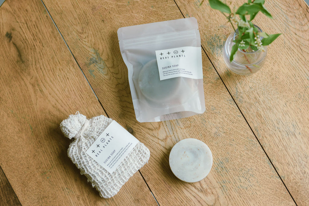 REAL PLANTS スギナソープ