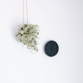 ' Spot ' wall clock Yuki MIKAMI × 岩嵜紙器