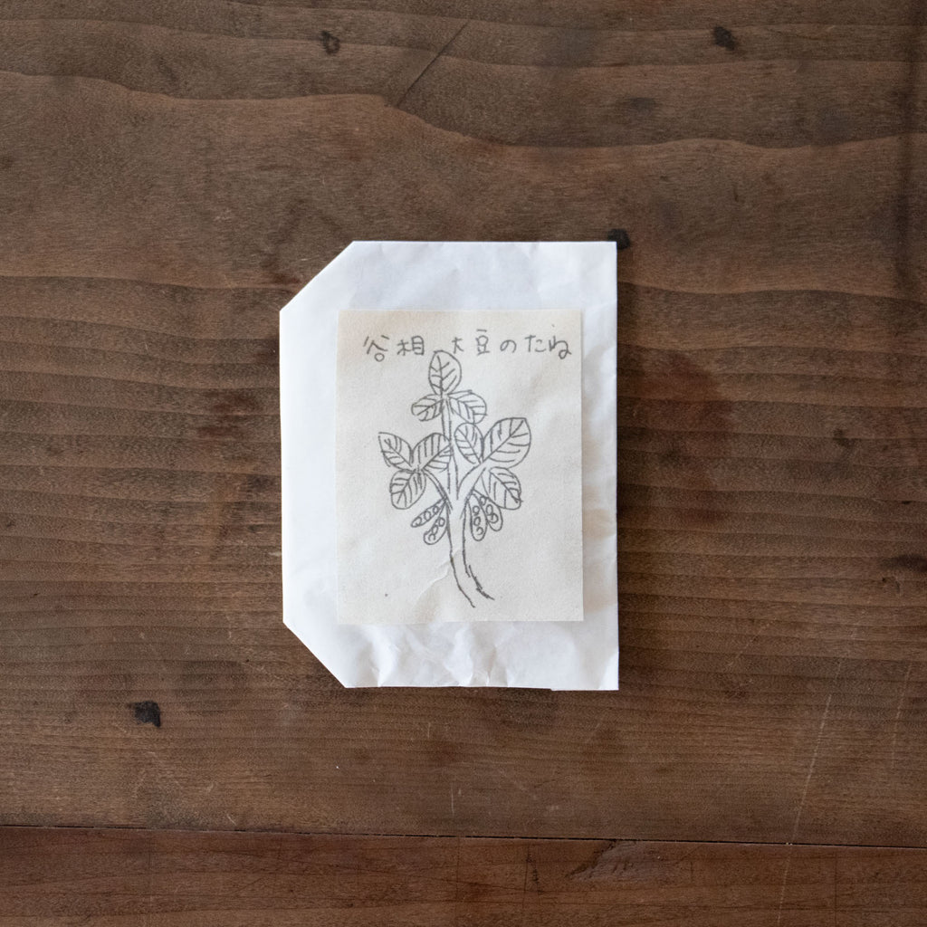 かぞくのかていか/早川ユミ