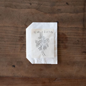 かぞくのかていか/早川ユミ