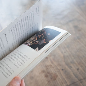 かぞくのかていか/早川ユミ