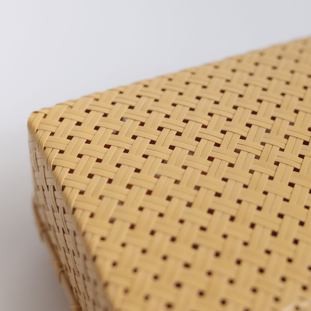 児玉美重 小夜合わせ