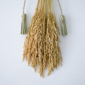 青木奈々絵 しめかざり 房