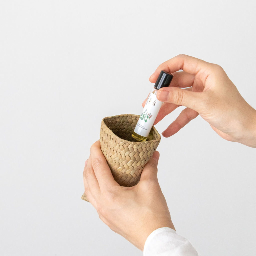 HuuHuu 水草ボックス